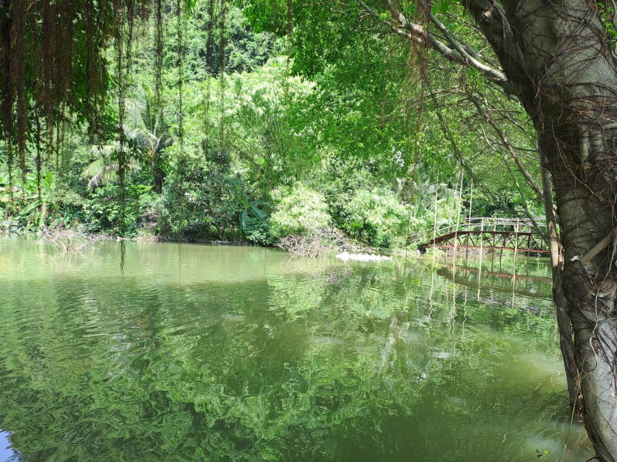 Thung Sen Tam Coc Chalets 宁平 外观 照片