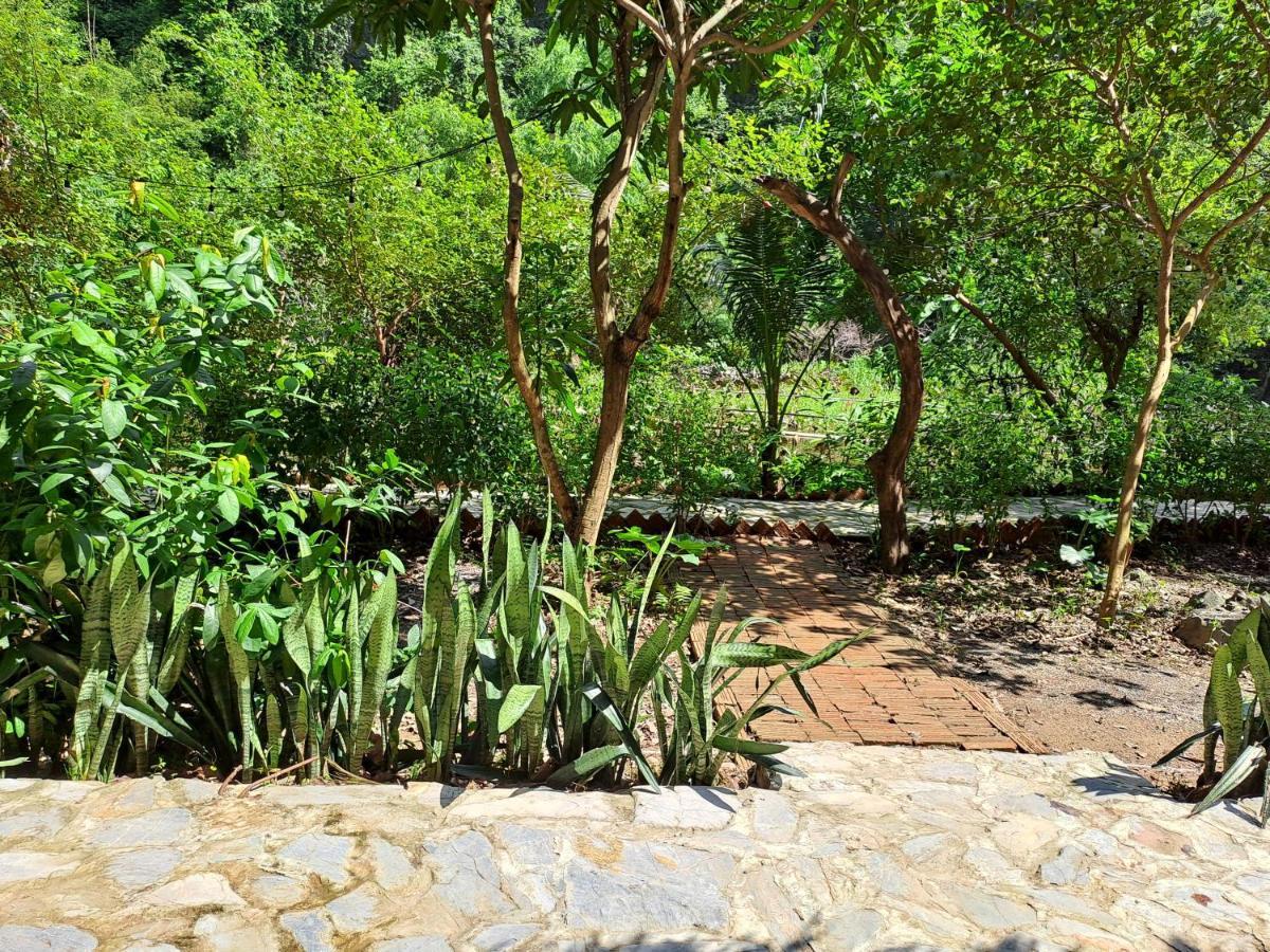 Thung Sen Tam Coc Chalets 宁平 外观 照片