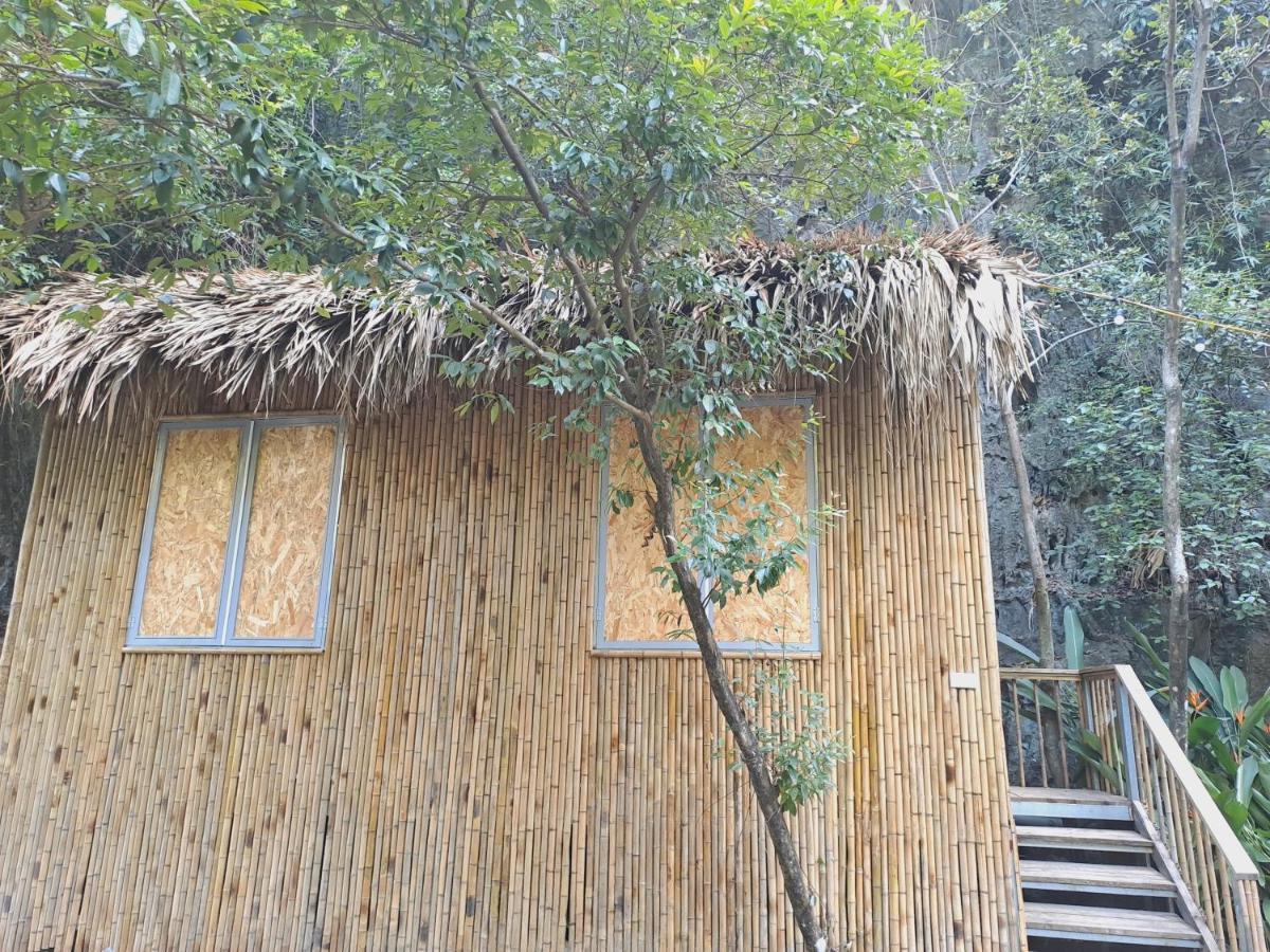 Thung Sen Tam Coc Chalets 宁平 外观 照片
