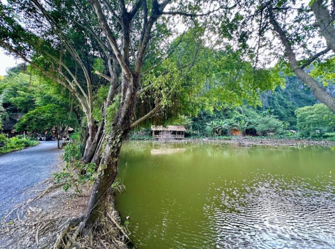 Thung Sen Tam Coc Chalets 宁平 外观 照片