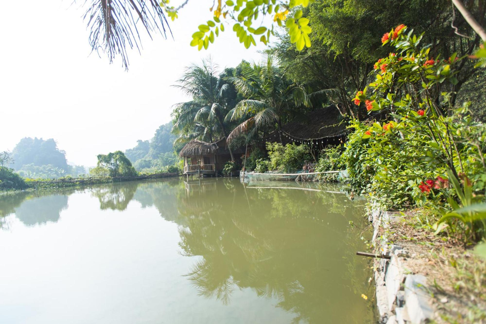 Thung Sen Tam Coc Chalets 宁平 外观 照片