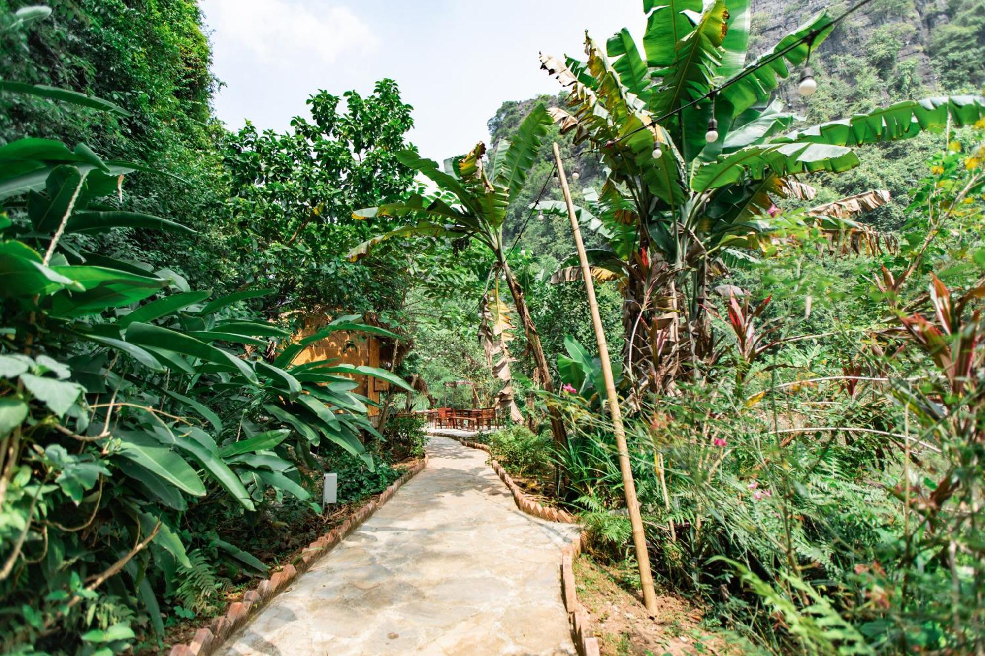 Thung Sen Tam Coc Chalets 宁平 外观 照片