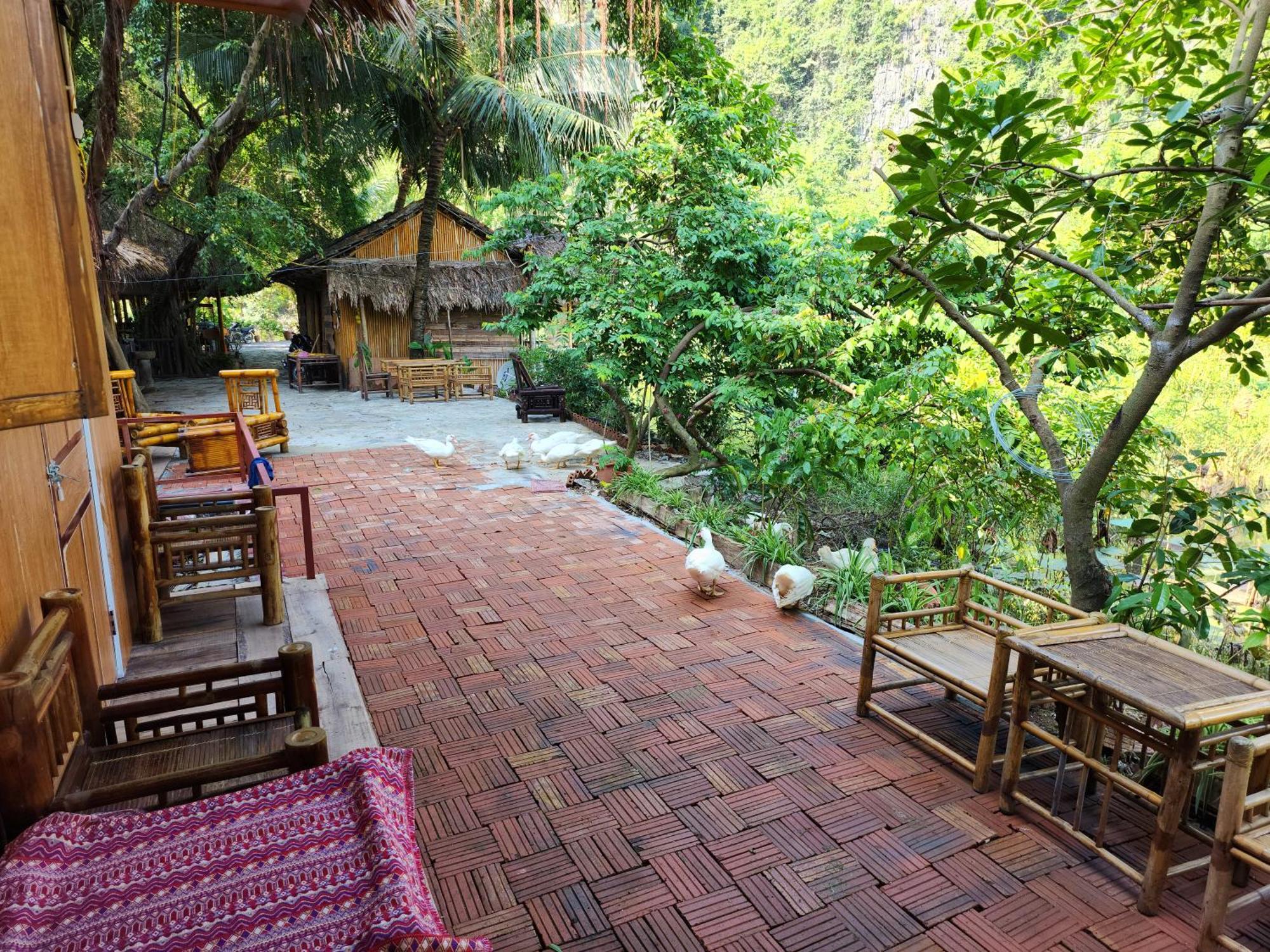 Thung Sen Tam Coc Chalets 宁平 外观 照片