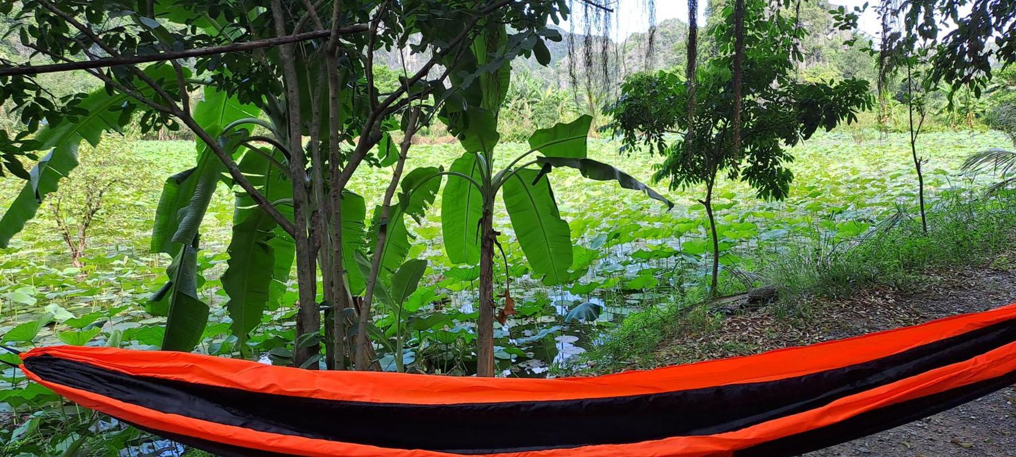 Thung Sen Tam Coc Chalets 宁平 外观 照片