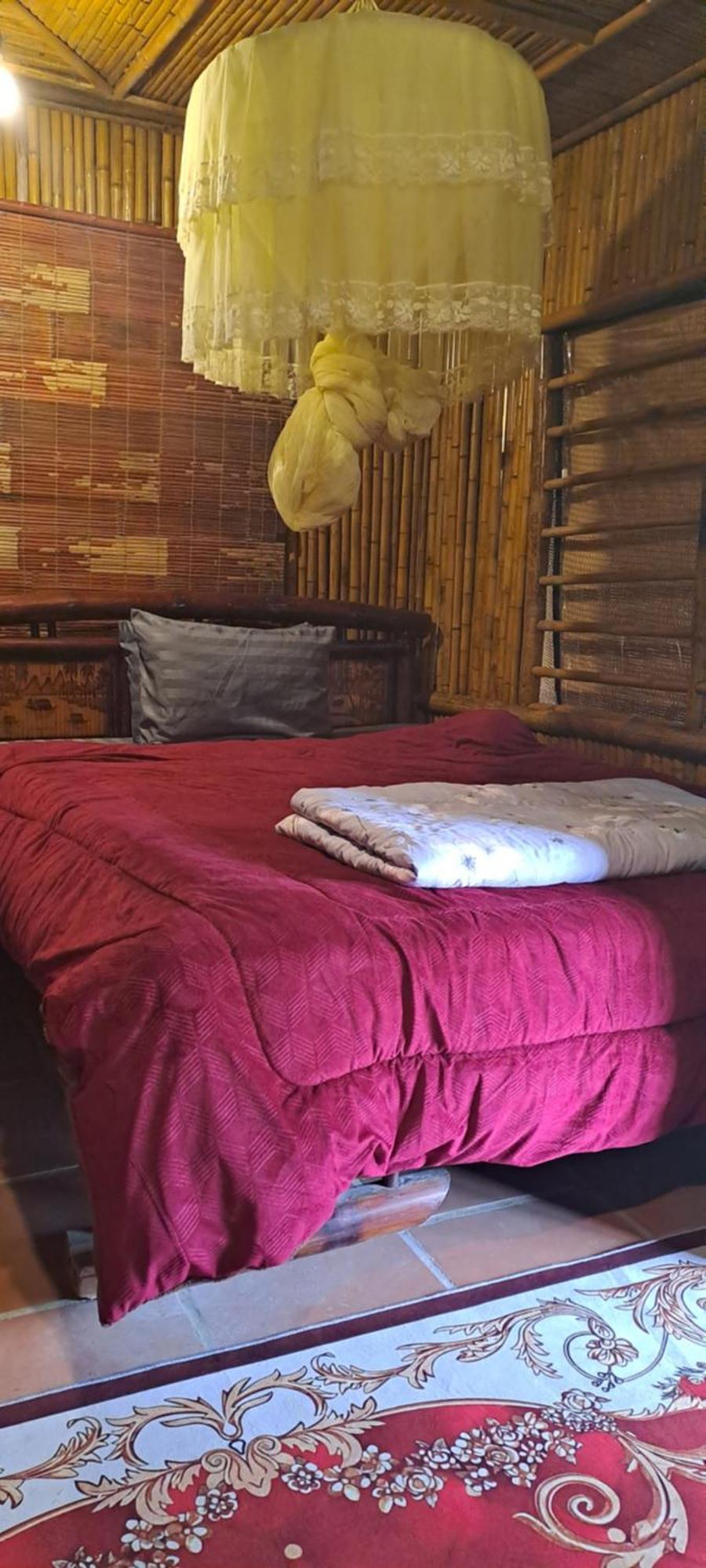 Thung Sen Tam Coc Chalets 宁平 外观 照片